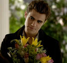 stefan salvatore